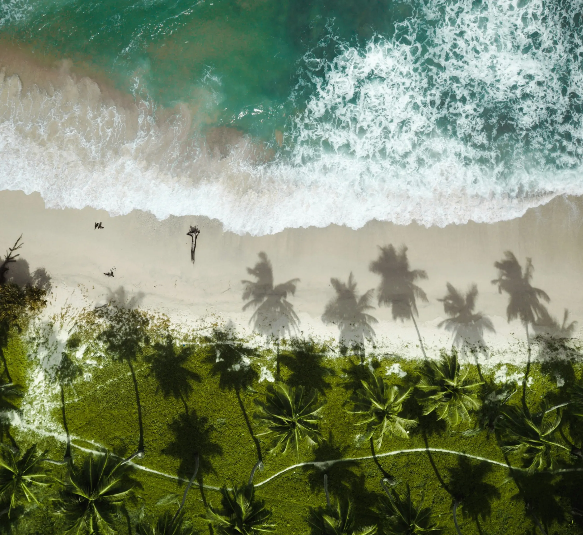 Picture of the author