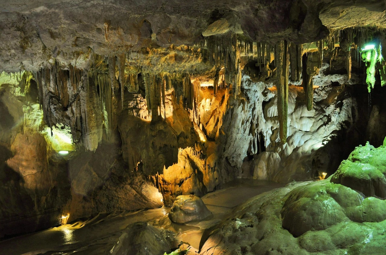 Picture of the author
