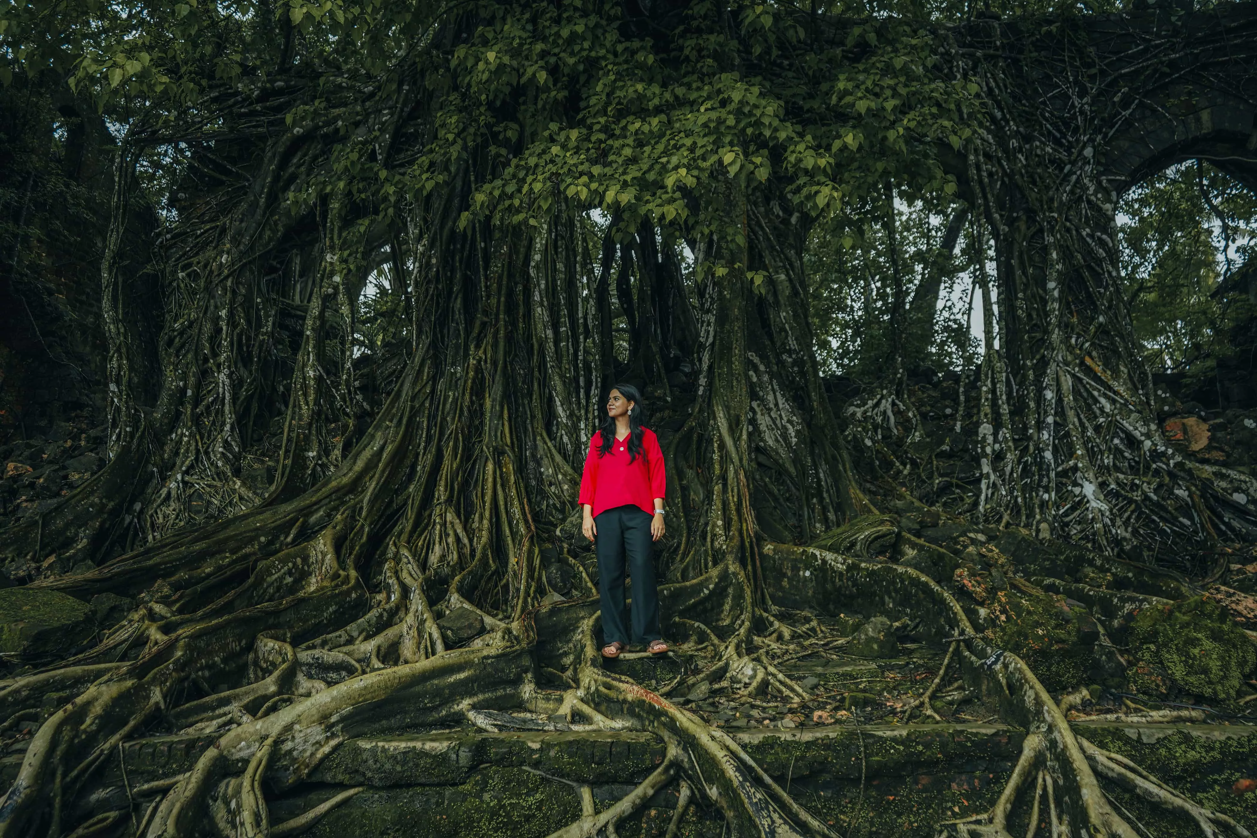 Picture of the author